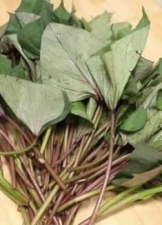 这才是红薯叶正确的做法，分享好吃小技巧，鲜嫩入味，吃着超解馋