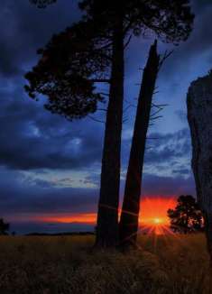 惊人的自然：天与地的联动