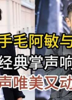 实力歌手毛阿敏与刘德华，同唱经典老歌掌声响起来，歌声唯美动听