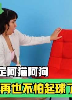 妈妈育儿小妙招，教你一招搞定阿猫阿狗，沙发再也不怕起球了