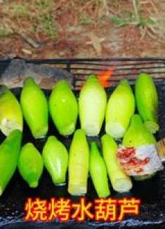 河边捞了一些水葫芦，放石板上烧烤一下，配上烤红薯太好吃了
