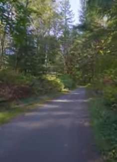 自然漫步视频：让人心旷神怡，美不胜收