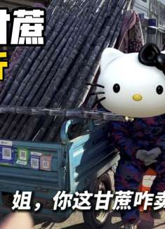 东北街头两米多长的甘蔗，特别粗特别甜！