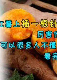 红薯上插一根针，厉害作用想不到，可以很多人不懂，看完赶紧试试