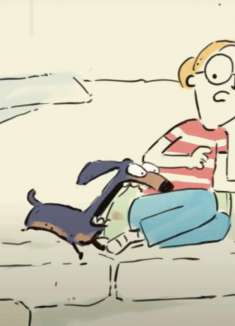 爆笑60秒！应激腊肠狗的「人飞狗跳」