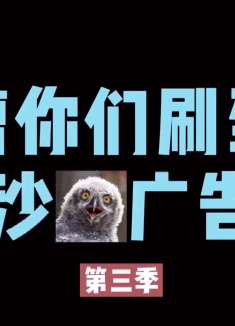 沙雕游戏广告之祖传十连抽前传