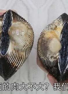 花10块钱买了12个大血蛤，撬开那一刻，肉一个比一个肥料