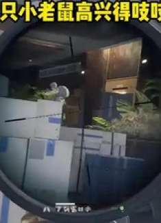 又养小老鼠啦 嘿嘿