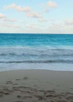 夏威夷瓦胡海滩：美不胜收，让人陶醉