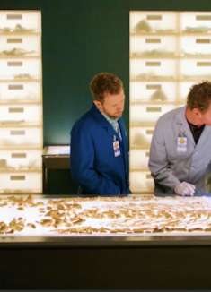 饭堂饭菜里有人体组织，没想到猪肉罐头居然出现人肉，惊悚片