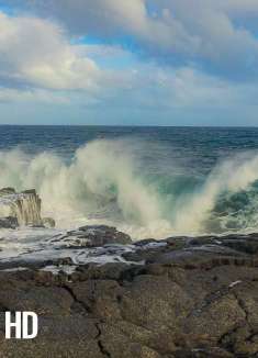 浪漫夏威夷，海浪声声入人心