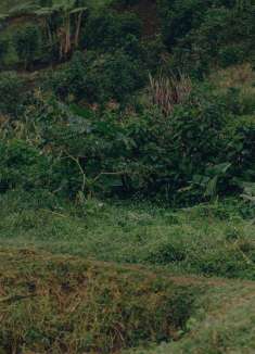 胶片电影感旅行大片「乌干达人像」