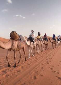 北非花园：红色的摩洛哥