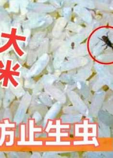 大米生虫不要晒，跟米店老板学的好方法，大米久放都不坏，长经验