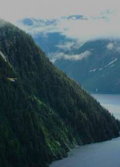 质感大片，阿拉斯加的「夏」原来这么美