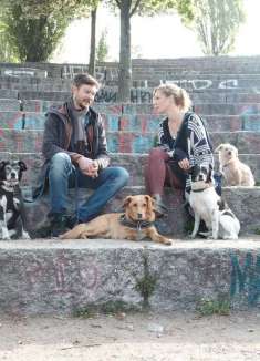 「浪浪回家」：温馨感人的毛孩纪录片