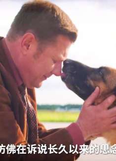 狗狗被主人狠心抛弃，结果狗狗一直在机场等待主人