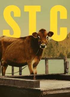 「电影手册」2021 Top1——第一头牛