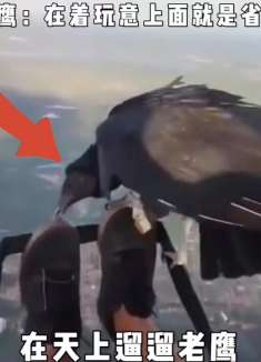 搞笑配音，在天上遛遛老鹰