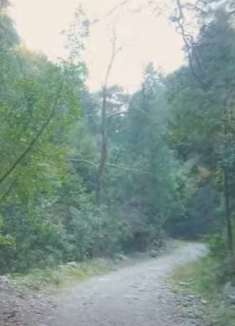 土耳其迪莱克：自然漫步，让人心旷神怡