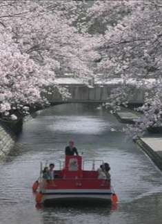 新日本新体验：来一场说走就走的旅行