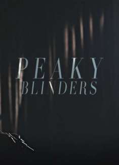 血泪生与死，高分英剧「浴血黑帮」