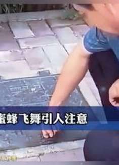 井盖蜜蜂飞舞引人注意，男子好奇掀开井盖被吓到