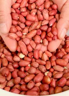 炒花生米时，掌握2个诀窍，出锅酥脆不糊，放半年不受潮不发软