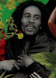 拼贴画动感 MV，雷鬼乐热门单曲 DJ 混音版