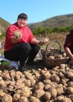 土豆排骨这么做才好吃，霞姐现挖一车炖着吃，全家人吃的乐呵呵！