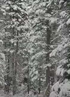 蓝湖小径：让人惊叹不已的美景