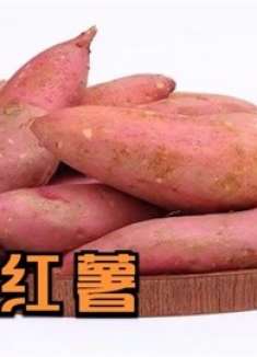 住楼房保存红薯有技巧，教你简单一招，不发芽不干瘪，方法真实用