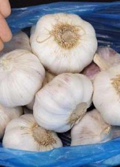 这才是保存大蒜最有效的方法！保存一年，大蒜不发芽不干瘪！