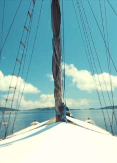 潜水胜地：拉贾安帕特群岛