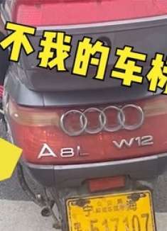 我说我汽车上的标没了，原来在你这儿呢！