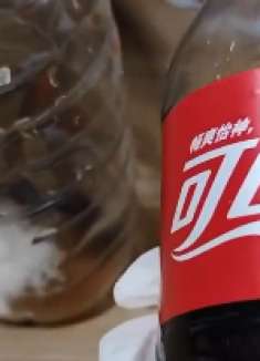 家里苍蝇多怎么办？教你一个灭蝇诀窍，苍蝇来一只灭一只