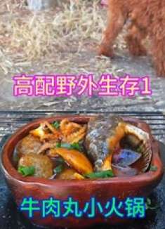 5块买了一包牛肉丸子，再去野外生存寻找食物煮小火锅，好吃极了