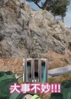 你说监狱里的所有人都不打鼠鼠