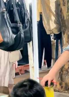 西湖的水，你的美