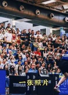 不愧是乒坛顶流！樊振东火到欧洲，德甲赛场彻底被点燃，中国力量