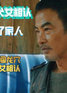 爷们信条：曾经的安全顾问，如今孤身一人闯龙穴，只为与妻女重逢