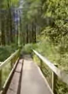 艾弗森铁路：美不胜收，值得欣赏