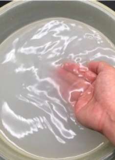 以后淘米水不要倒掉了，教你几招，省钱又好用