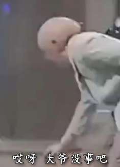 搞笑：猫，哥俩好啊六六六啊