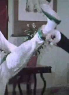 蔡李佛:恶棍调侃漂亮姑娘,没想姑娘脾气暴躁武功非凡,好看了