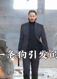 因为一条小狗引发的惨案，徒手灭掉整个黑帮，电影《还我狗命》