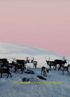 在北欧狂野天空，遇此生最难忘的风景