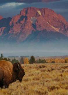 漫无目的的公路旅行，黄昏前奔向荒野