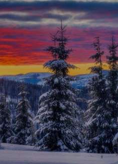 冰冻多瑙河畔,航拍「寂静雪国」罗马尼亚