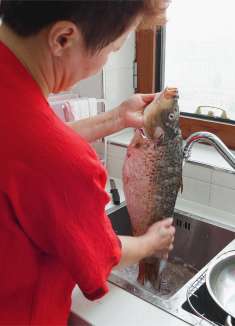 买一条5斤重的大鲤鱼，奶奶做酱烧鲤鱼，鱼肉酱香入味很下饭